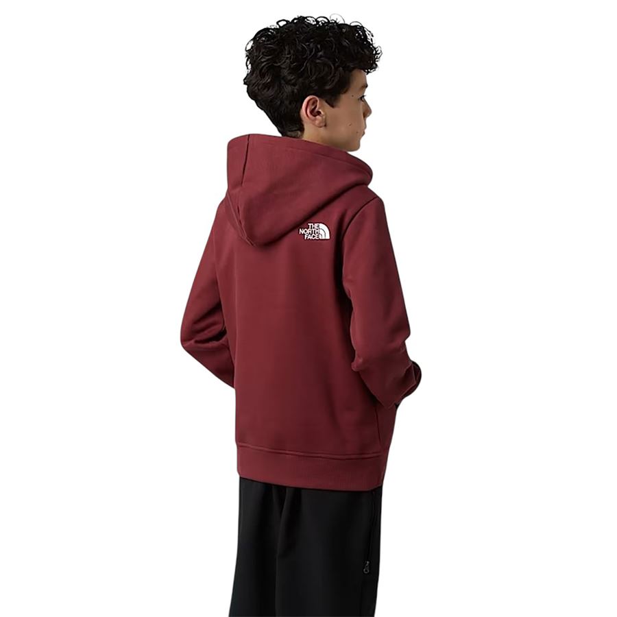  The North Face | NF0A8EHH0VO